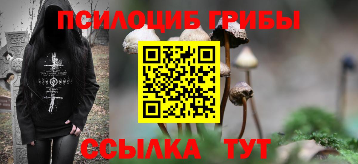 Галлюциногенные грибы прущие грибы Тында